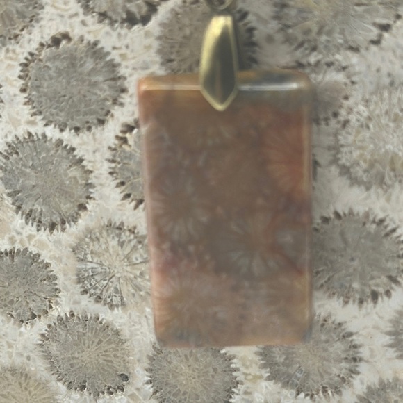 Coral Fossil Rectangle Pendant Necklace - Picture 9 of 9